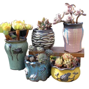 4/5/6 Pots Set Ceramic Clay Pottery Pots | Succulent Flower Planter, Draining Hole (Style 03# 5 Pots Set)