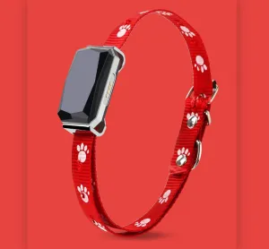 Beidou GPS pet positioning collar