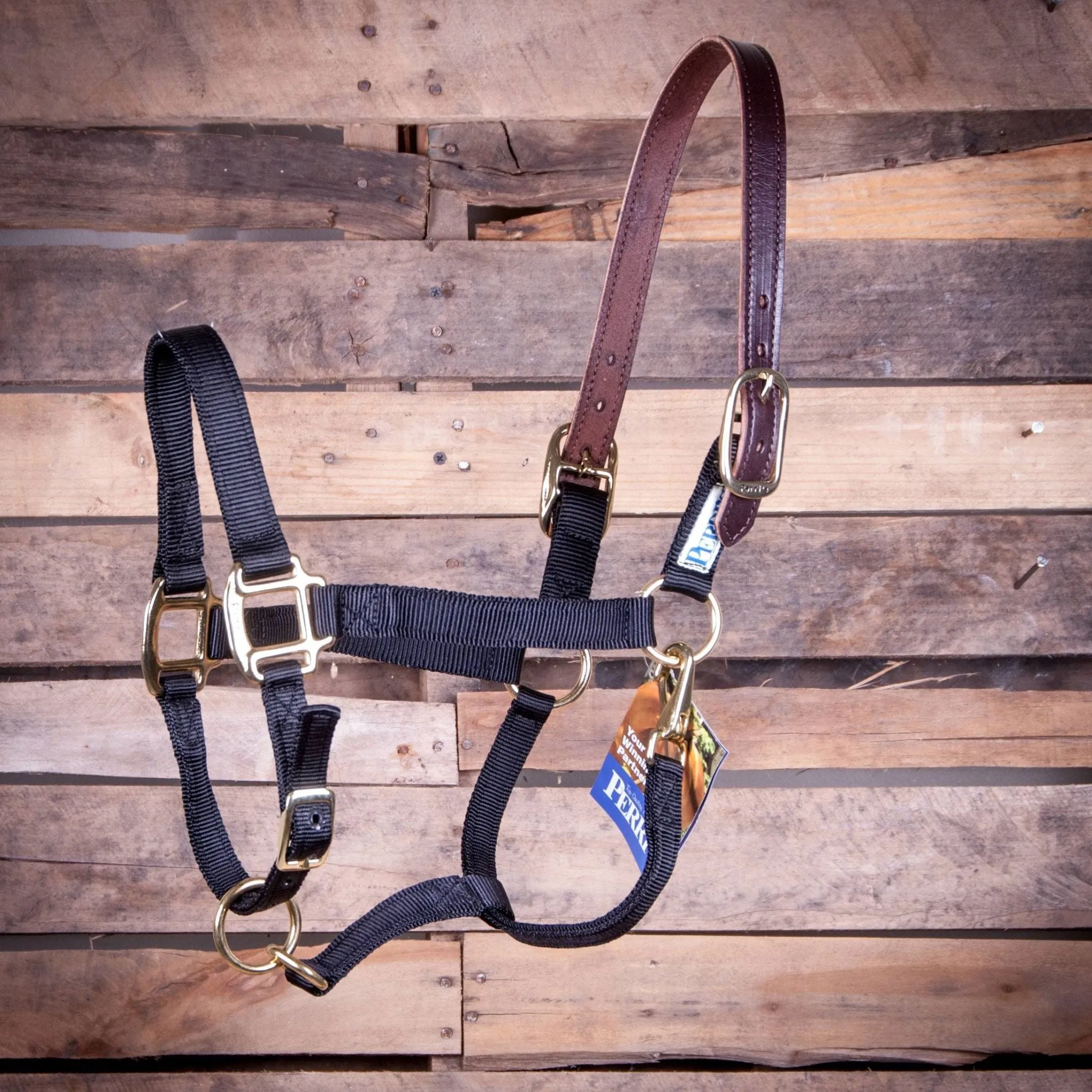 Breakaway Horse Halter, Horse Size