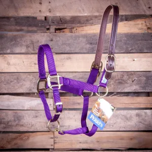 Breakaway Horse Halter, Horse Size