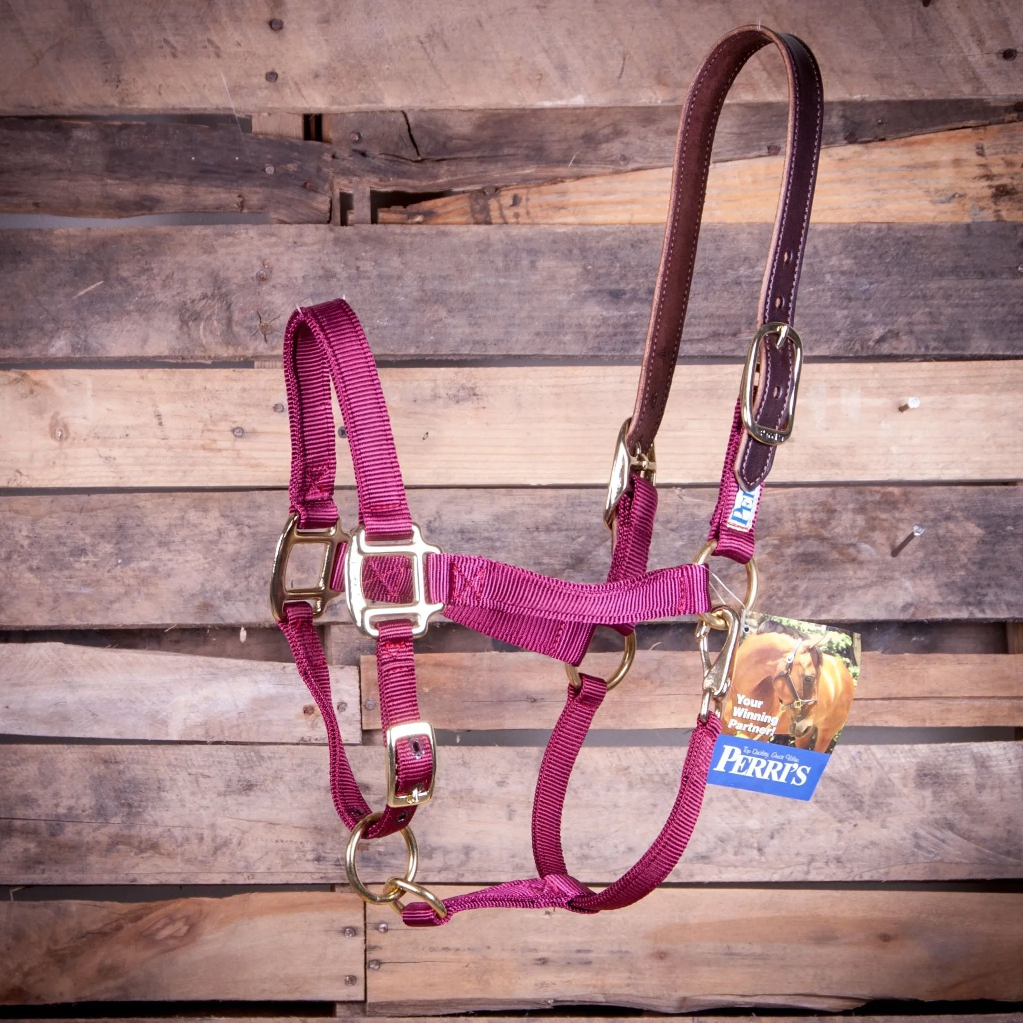 Breakaway Horse Halter, Horse Size