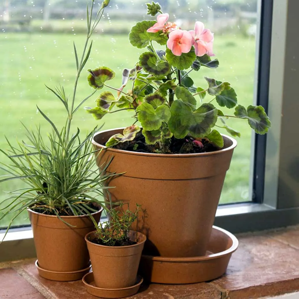 Haxnicks 3" Bamboo Pots (Pack of 5)