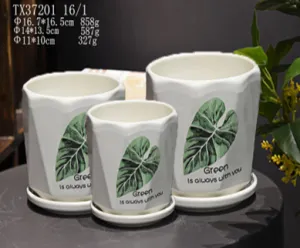 Modern Round Ceramic Plant Pot - White and Black Design with Inspiring Caption (Set Of 3)