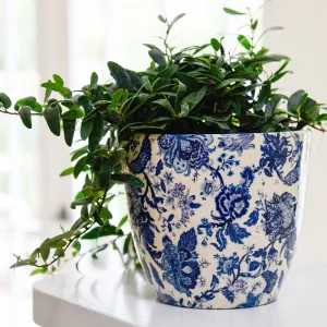 Monza Vintage Blue Indoor Ceramic 17.5cm Pot